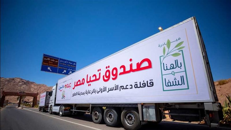 صندوق تحيا مصر