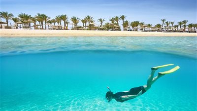 رحلات اليوم الواحد تتصدر اختيارات المصريين في عيد الأضحى.. أماكن قريبة وتكلفة أقل ومتعة أكبر 