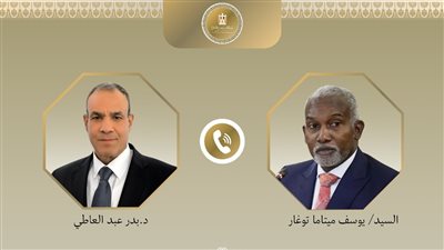 وزير الخارجية يبحث مع نظيره النيجيري فرص الاستثمار وتوسيع نشاط الشركات المصرية