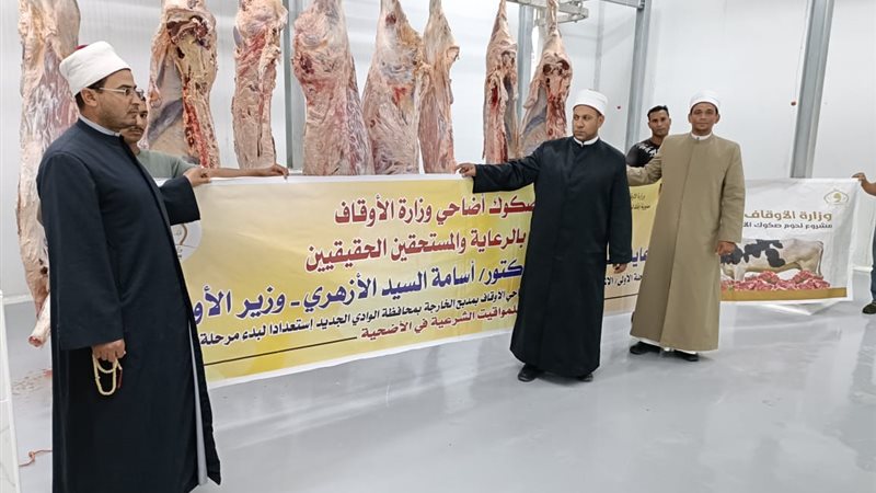 جانب من الفعاليات