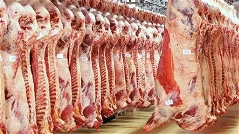 ضوابط الذبح في عيد الأضحى 