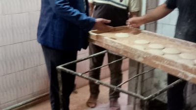 توريد 105 ألف طن قمح منذ بداية الموسم وضبط طن أسماك مجهولة المصدر بالمنوفية