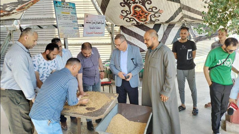 جانب من توريد القمح