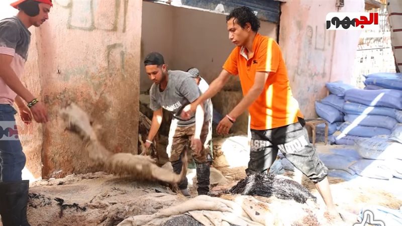 ‏الجلود