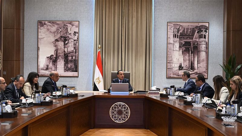 وزير الكهرباء خلال اجتماع الحكومة