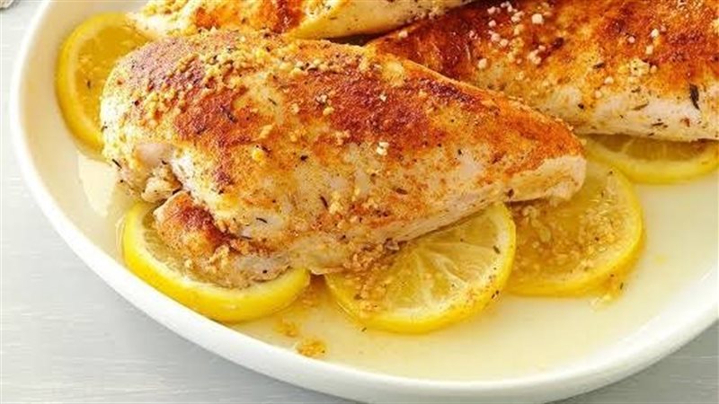 دجاج 