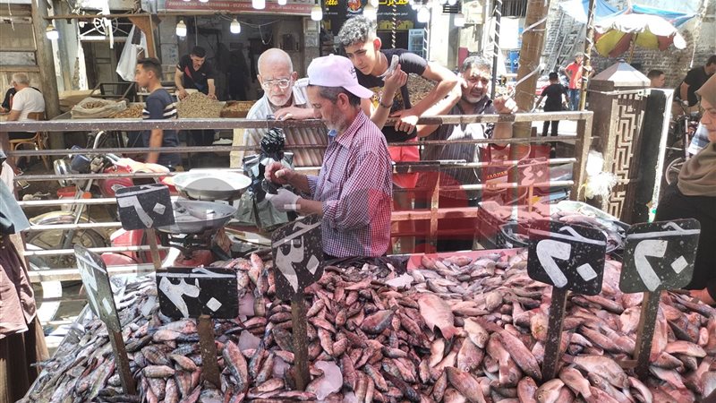 سوق السمك اليوم بدمياط