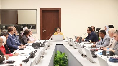 نائب وزير الصحة تناقش تنفيذ خطة عاجلة للسكان والتنمية