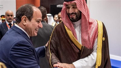 الرئيس السيسي يوافق على تشكيل مجلس التنسيق الأعلى المصري السعودي