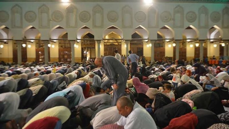 ارشيفية