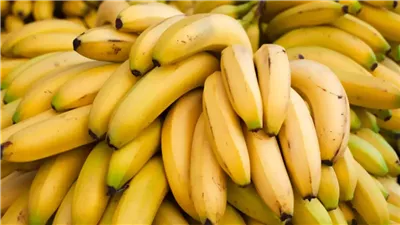 مفيد للجهاز الهضمي وغني بالبوتاسيوم.. تعرف على أبرز فوائد تناول الموز