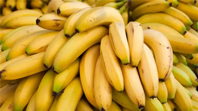 الموز