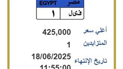 «ف ى ل 1» يصل سعرها  425 ألف جنيه.. المرور تطرح لوحات مميزة بالمزاد