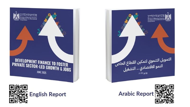  تقرير التمويل التنموي لتمكين القطاع الخاص 