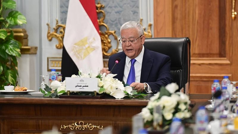 المستشار الدكتور حنفي جبالي 