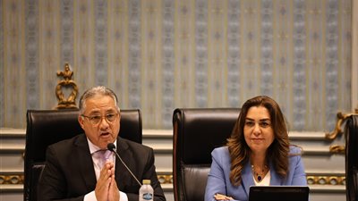 وزيرة التنمية المحلية تستعرض مشروعات منظومة المخلفات أمام «محلية النواب»