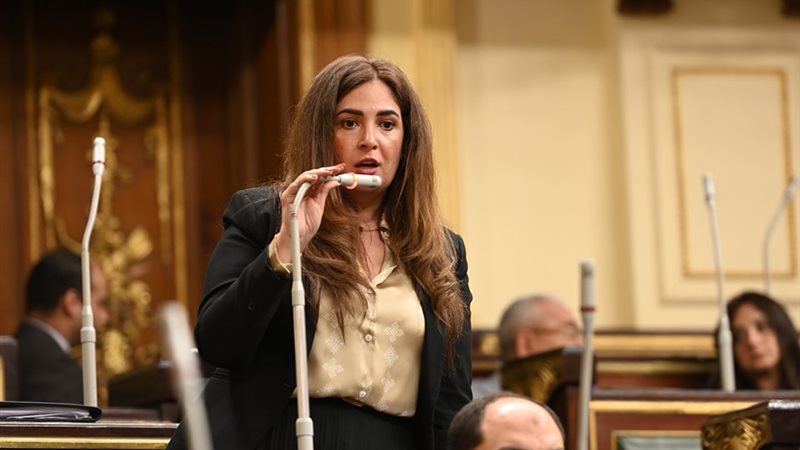 النائبة أميرة العادلي