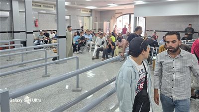 وزارة العمل: بدء الإختبارات للمُتقدمين للعمل في مجال تربية الدواجن بالأردن