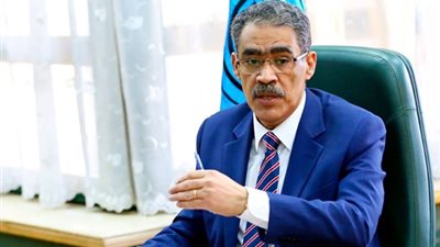 ضياء رشوان: علاقة مصر بالقضية الفلسطينية ترتبط بالجغرافيا والأمن القومي