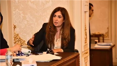 «شكاوى النواب» توافق على اقتراح نائبة بإنشاء مستشفي عام بالعبور الجديدة