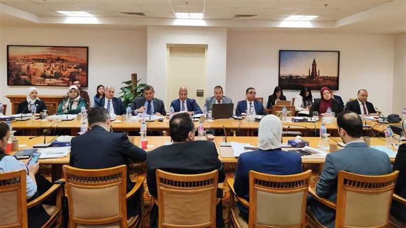 اللجنة الدائمة لمتابعة العلاقات المصرية الأفريقية 