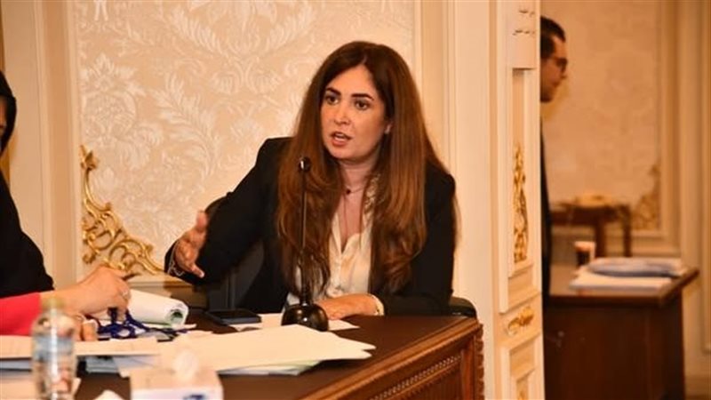 النائبة أميرة العادلي
