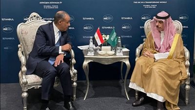 على هامش اجتماعات إسطنبول.. تأكيد مصري سعودي على خفض التصعيد ووقف إطلاق النار 