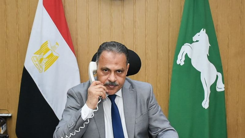 محافظ الشرقية