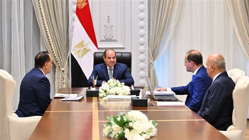 الرئيس السيسي خلال لقاء رئيس الوزراء ووزير المالية
