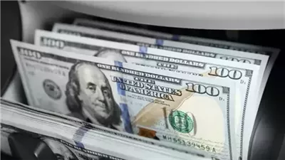 قرار قضائي جديد بشأن محاكمة متهمين في قضية «خلية تهريب العملة الأجنبية»