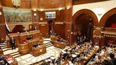 نائب بالشيوخ: خطاب 3 يوليو 2013 أنقذ مصر من الفوضى 