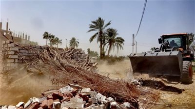 تنفيذ 3 قرارات إزالة تعديات على الأراضي الزراعية بالأقصر 