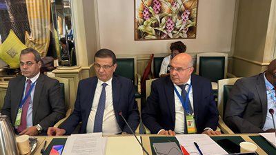 وزير الزراعة: مصر تلتزم بتعزيز سلاسل القيمة الزراعية بالتعاون مع أوروبا لتحقيق الأمن الغذائي 