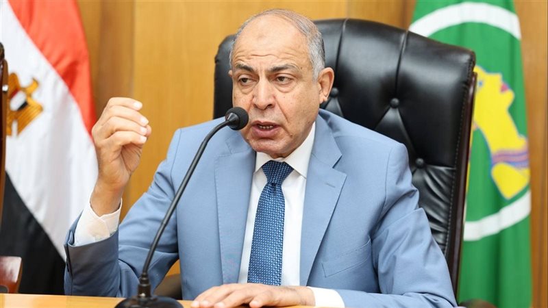 محافظ المنيا