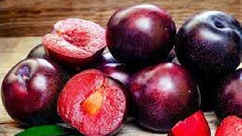 فوائد البرقوق 