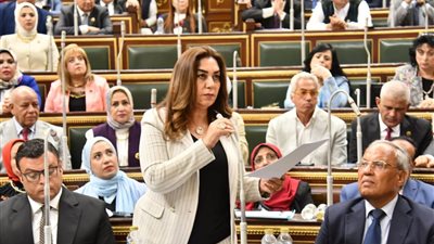 التنمية المحلية: بيان بالأراضي الصالحة للإسكان على مكتب مجلس النواب