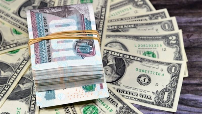 الدولار مقابل الجنيه 