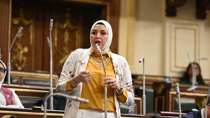  النائبة هدى عبد الستار عمار