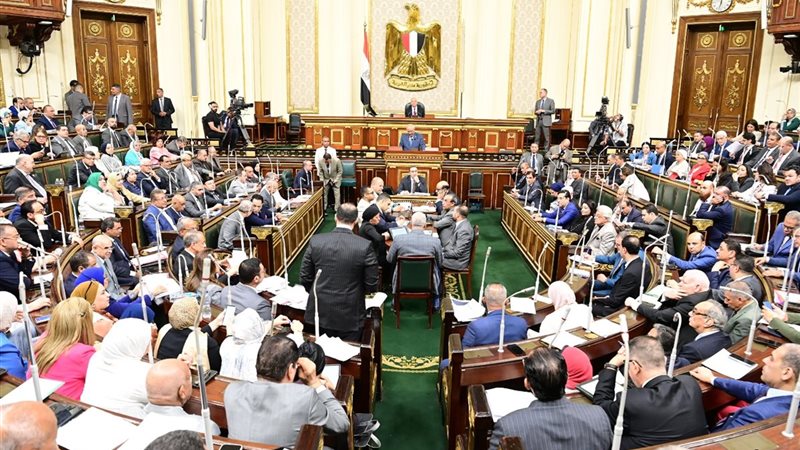 الجلسة العامة لمجلس النواب