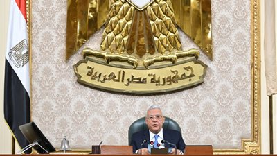 قوانين أقرها مجلس النواب خلال دور الانعقاد العادي الخامس (إنفوجراف)