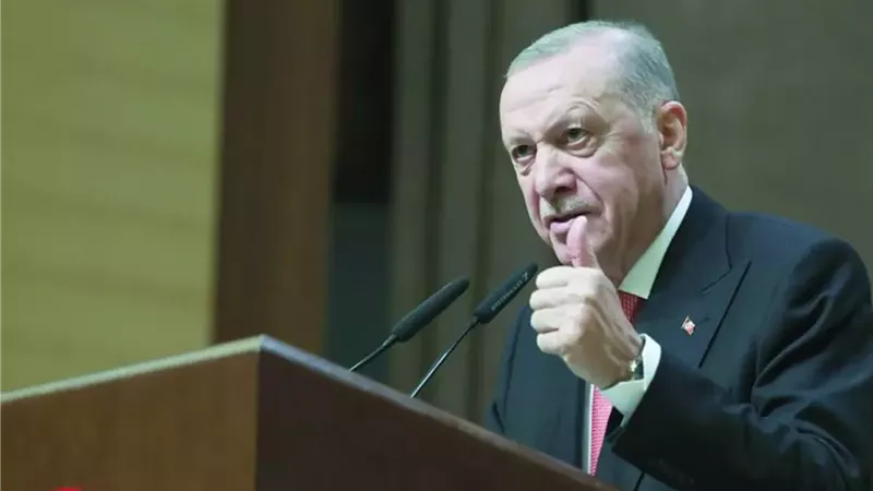 الرئيس التركي رجب طيب إردوغان