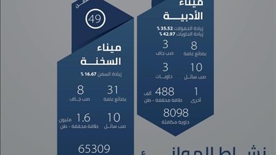 ميناءي السخنة والأدبية يستقبلان 74 سفينة متنوعة خلال شهر
