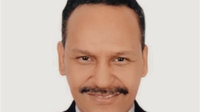 قيادي بمستقبل وطن: الرئيس السيسي يقود جهود حثيثة لدعم القضية الفلسطينية