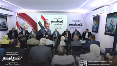 الحملة الرسمية للمرشح «السيسي» تستقبل وفد العاملين بالمالية والضرائب