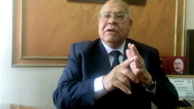 الشهابي: توجيه السيسي بتوفير مساعدات لغزة تأكيد على دور مصر القائد للأمة العربية