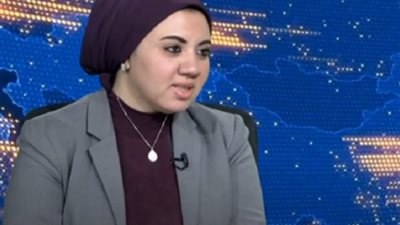 حملة فريد زهران: ركزنا على مقابلة السفراء الأجانب لبحث الأزمة الفلسطينية