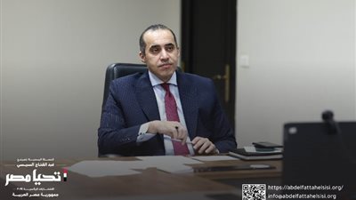 الحملة الرسمية للمرشح السيسي تواصل لقائها بالمصريين في الخارج