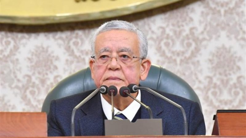 المستشار الدكتور حنفي جبالي رئيس مجلس النواب