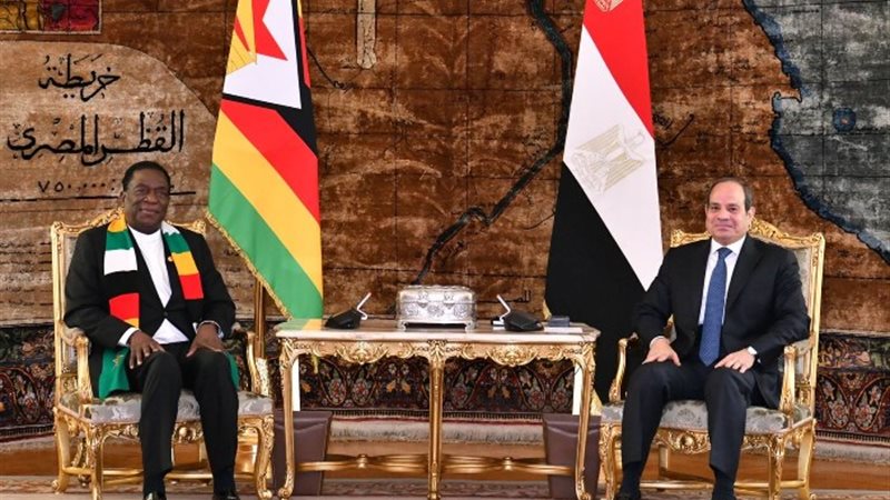 الرئيس عبد الفتاح السيسي