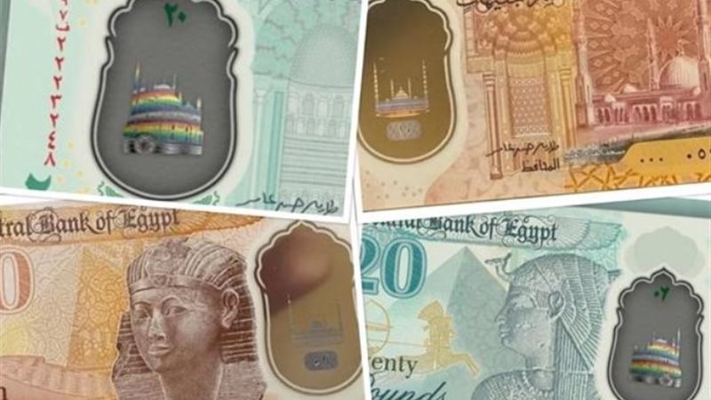 عملة مصنوعة من البولومير